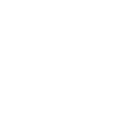Car Scanning Services Icon